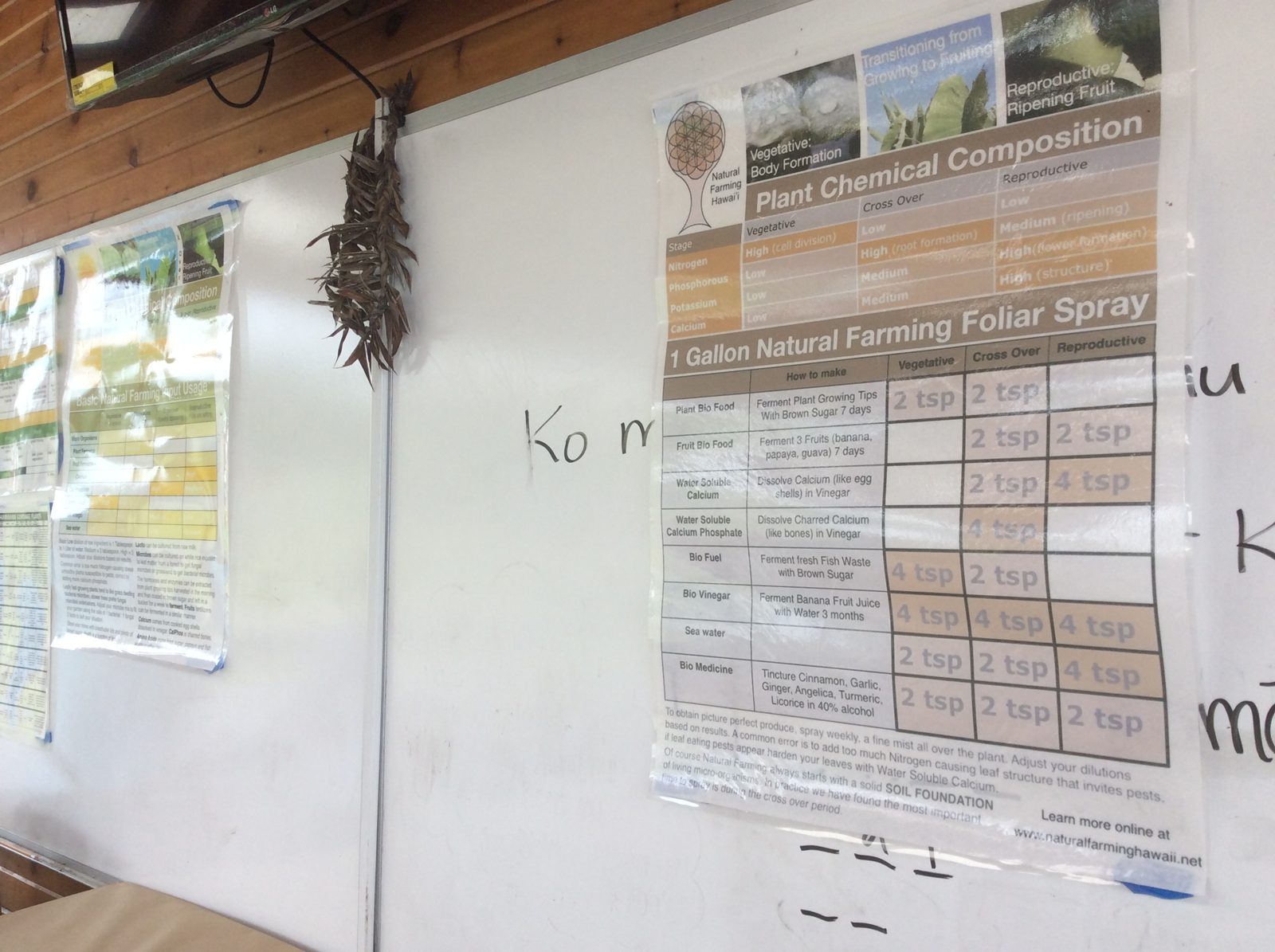 A one-gallon foliar spray chart at the Kalanianaʻole school garden.