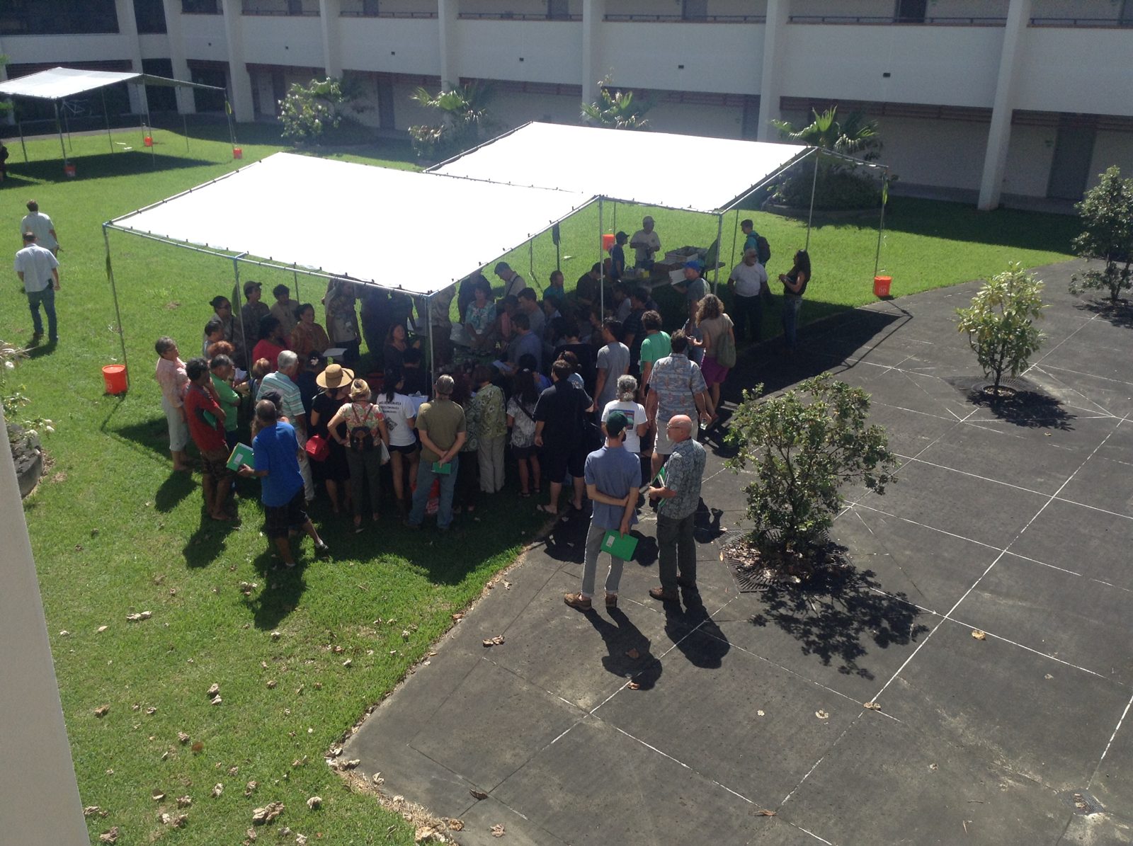 Skill shares on the lawn, Thursday late morning.
