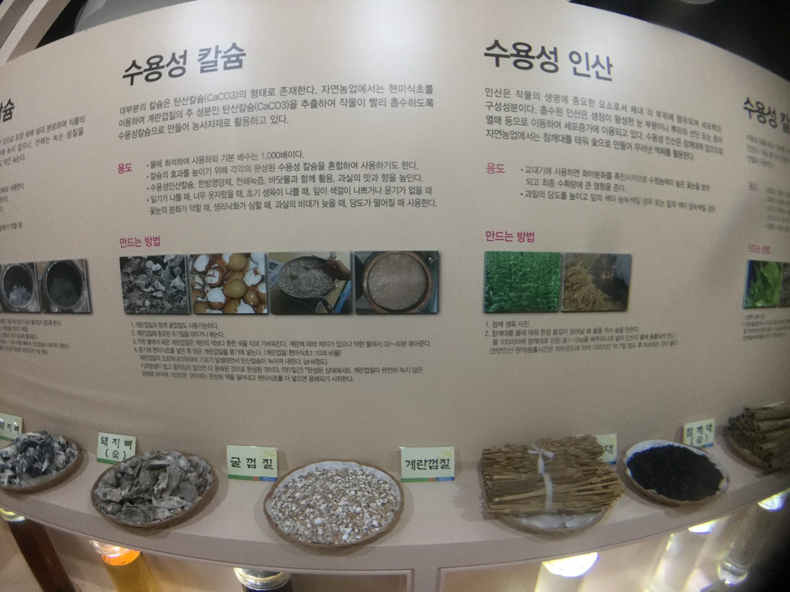 Inside: displays on making Reproduction (WCA) and Structure (WCP).